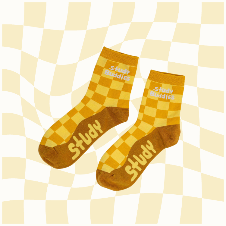 Study Buddies Smarty Buddy Socks