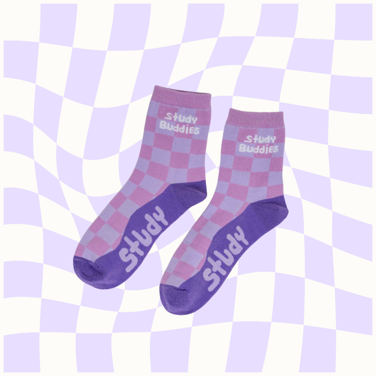 Study Buddies Smarty Buddy Socks