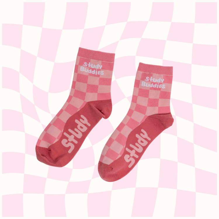 Study Buddies Smarty Buddy Socks