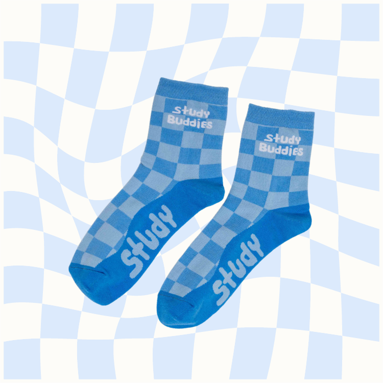 Study Buddies Smarty Buddy Socks
