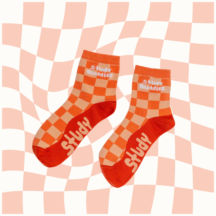 Study Buddies Smarty Buddy Socks